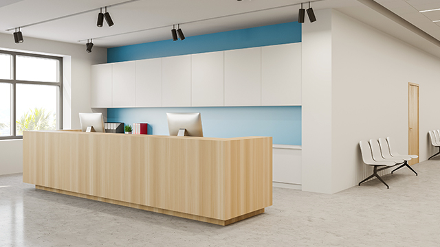 To Furnish or Not to Furnish